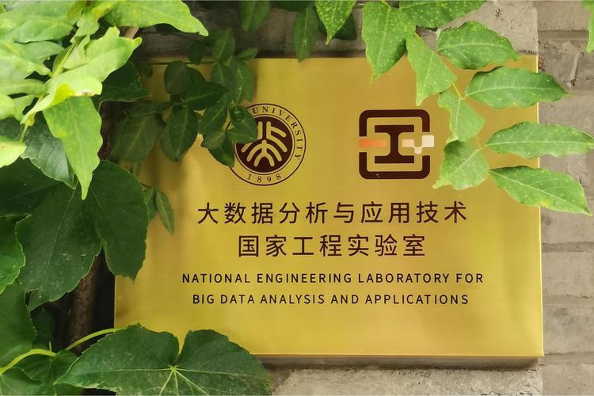 数据采集：选择高效工具的指南
